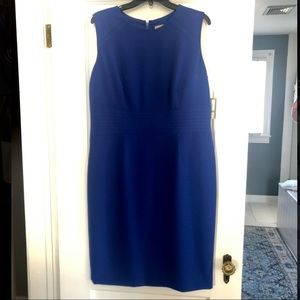 NWT royal blue dress